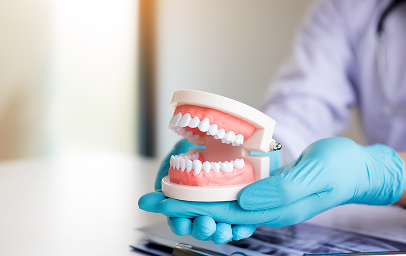 Dentist holding model of dentures