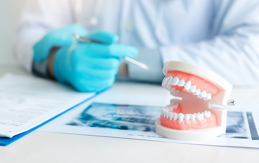 Doctor with model of dentures